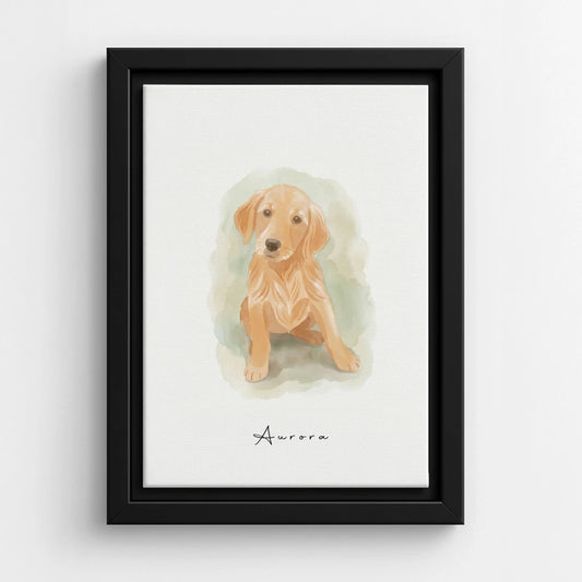 Black Canvas / Sage Green